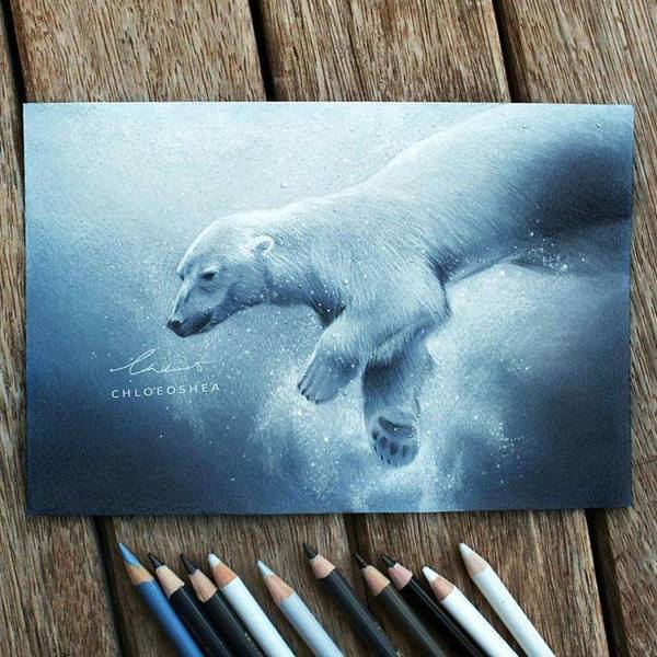 By Chloe O'Shea , , Drowing, 
