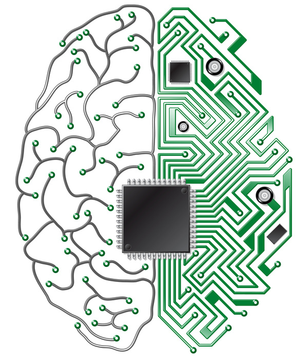Любителям исследований мозга.