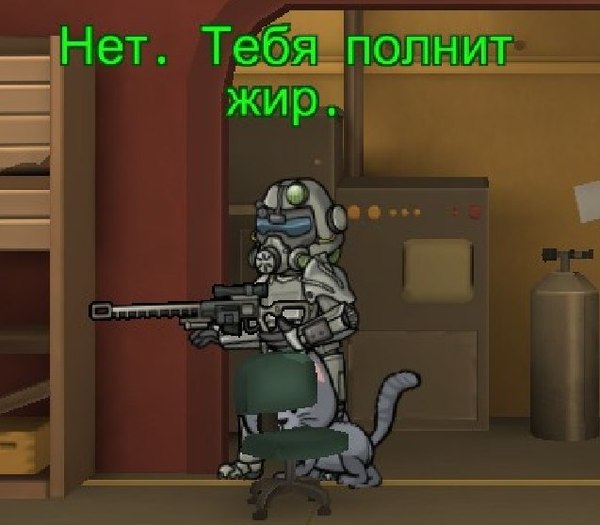   ,   :