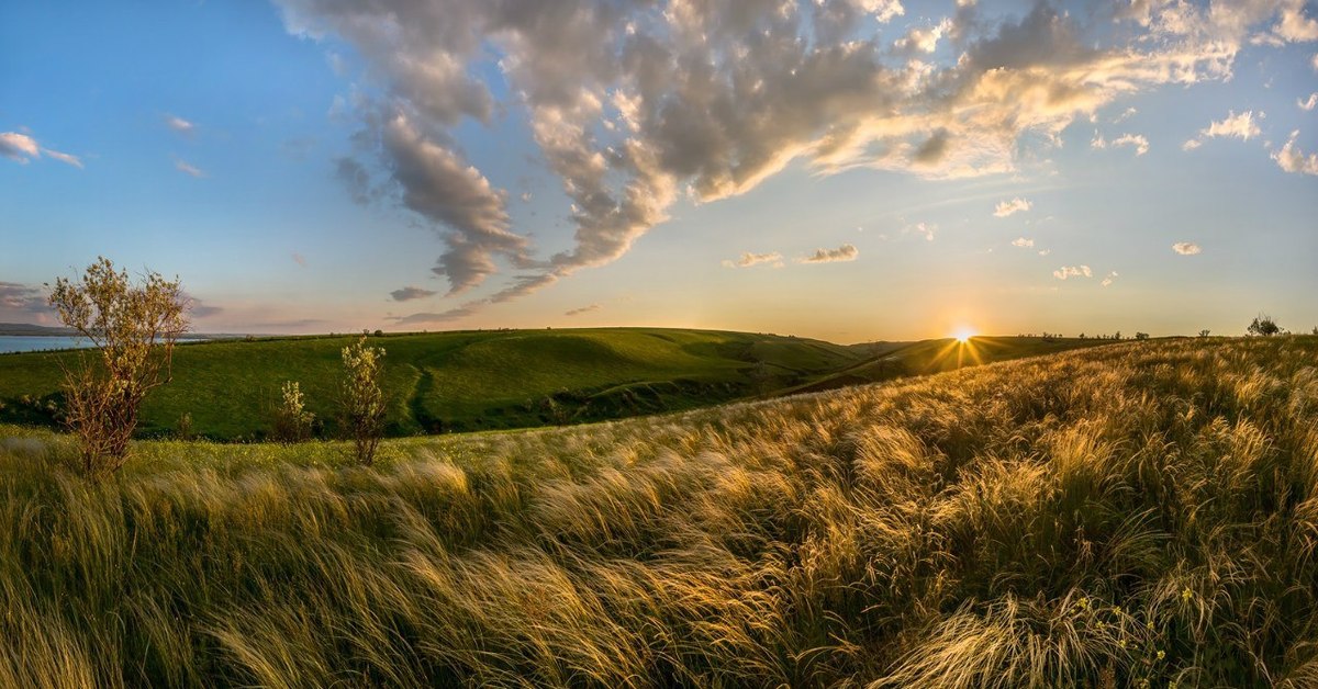 Природа степей. Федор Лашков ковыль степь горы. Донская степь ковыль. Ковыль Ставрополья Ставрополья. Ковыль Байкальский.