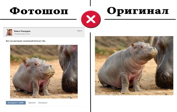 Весь смысл пабликов ВК