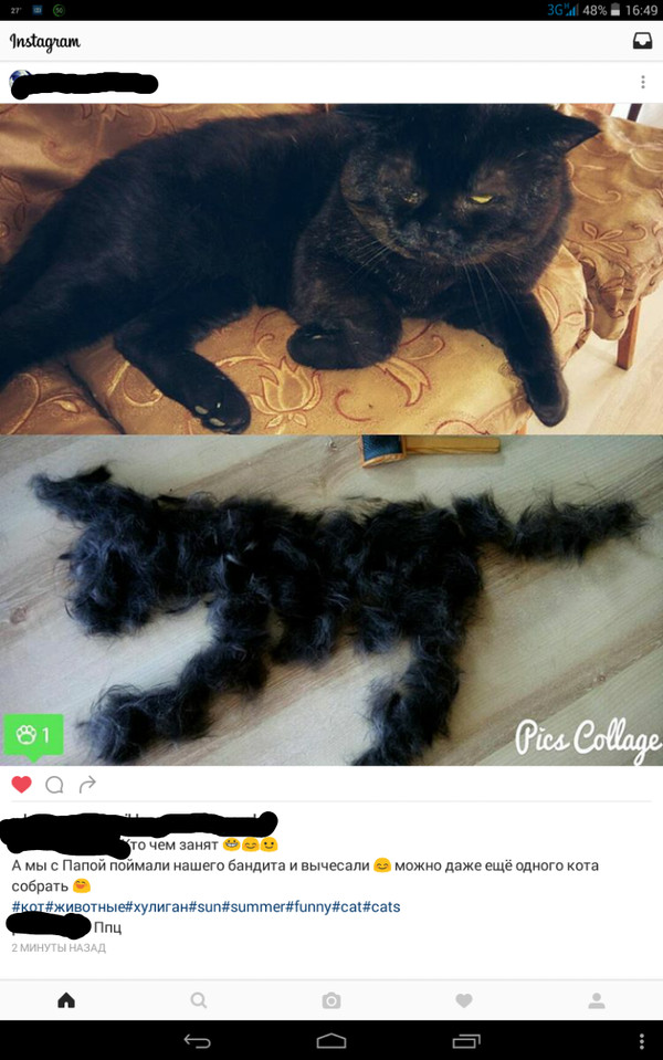 Собери ещё одного кота!