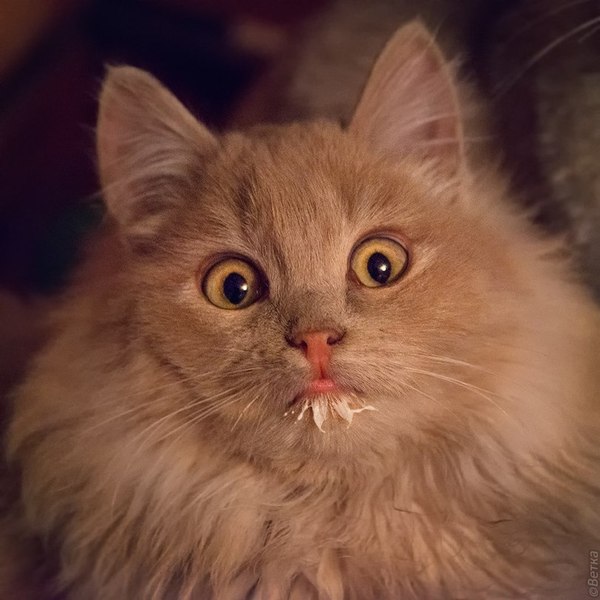            , , 