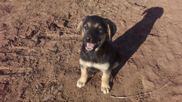 Милая мордочка