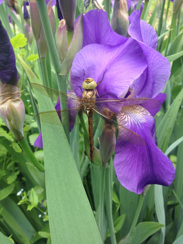 ��������