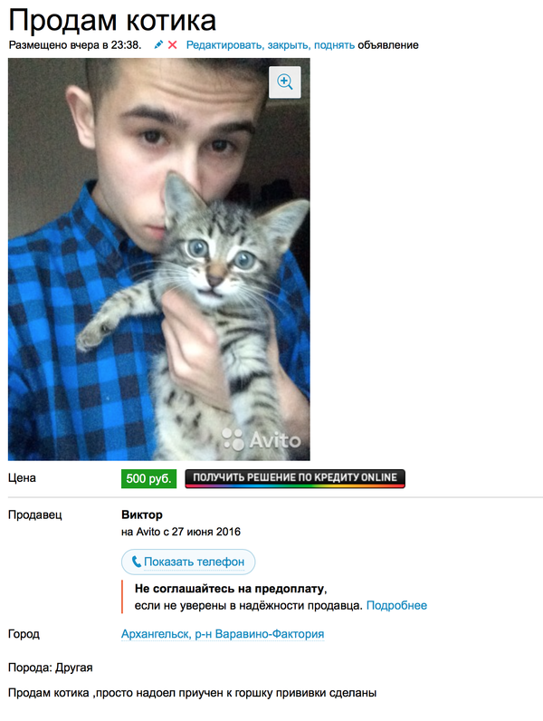 ������ ������, ����!