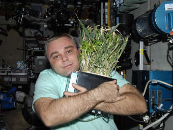 ������ ��� ������.