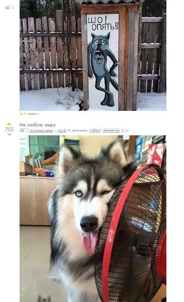 ������������������ ������