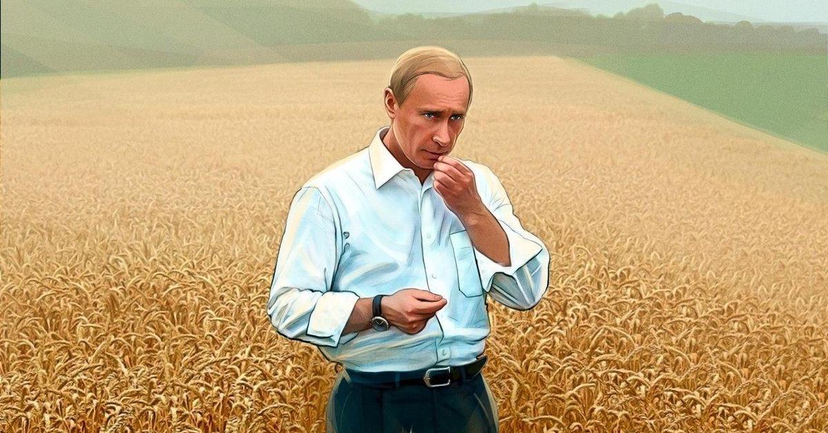 Успехи сельского хозяйства. Путин в пшеничном поле. Путин сельское хозяйство. Фермер пшеница. Фермер с зерном.