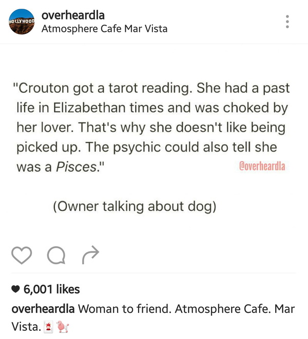 Любой каприз за ваши деньги