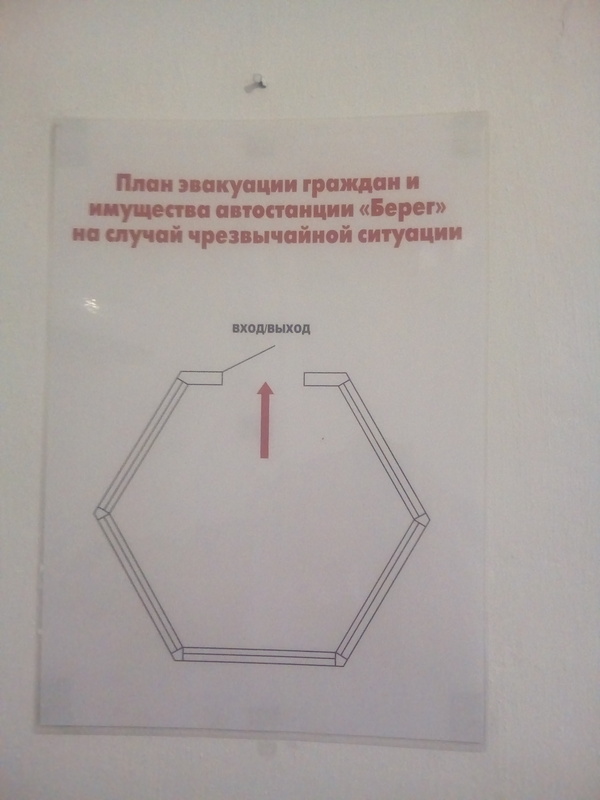 ���� ���������