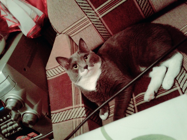 ���� �������! ����� ������!