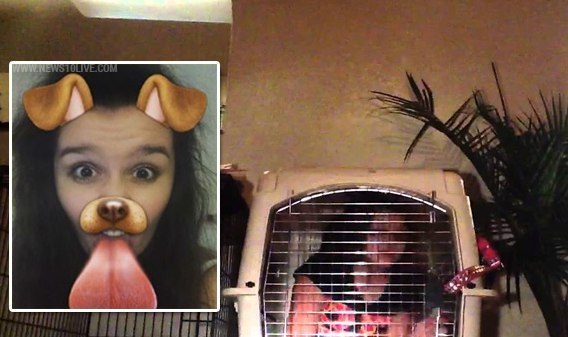 Отцовские методы воспитания