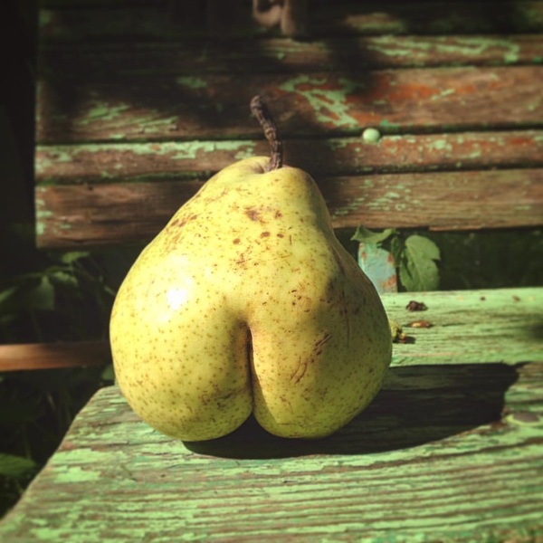 Рубенсовские формы.