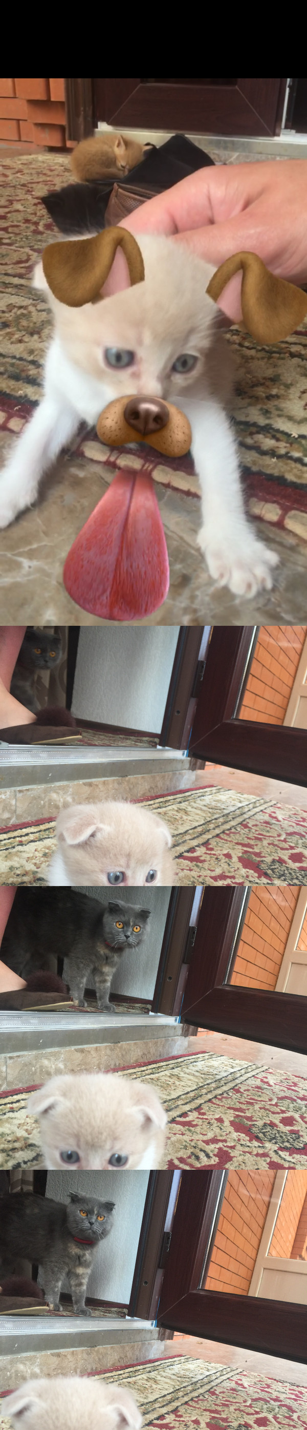 ��� ���� �����, ��� � ������ � ��������