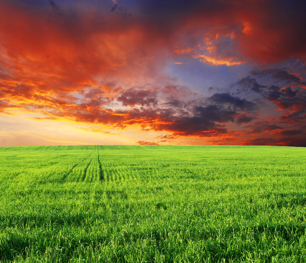 Долгий закат