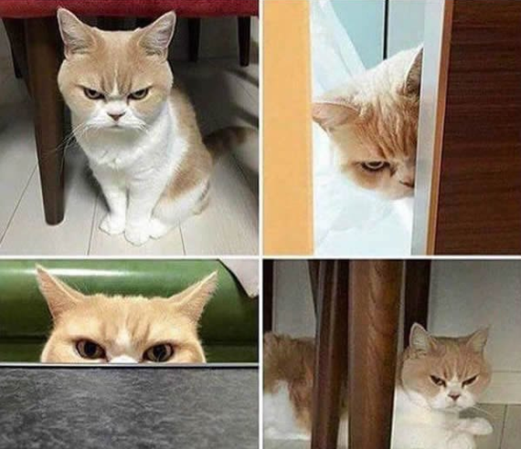 Когда ты спрашиваешь её, что не так, и она отвечает "ничего", а потом весь день смотрит на тебя вот так