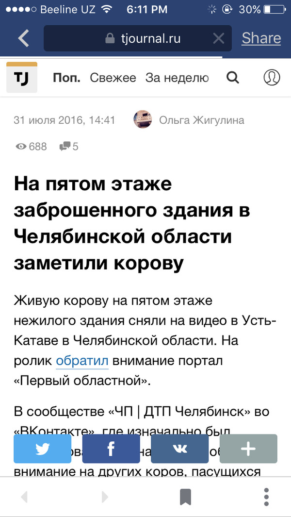       , -, , Tjournal