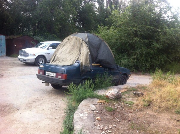 ���� ������