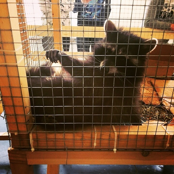 ������ ���� ^_^