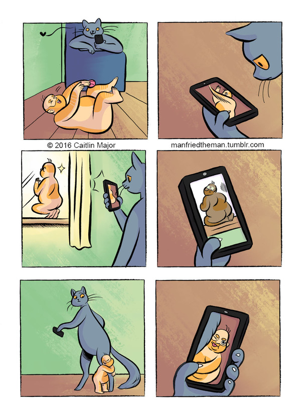 Параллельная вселенная