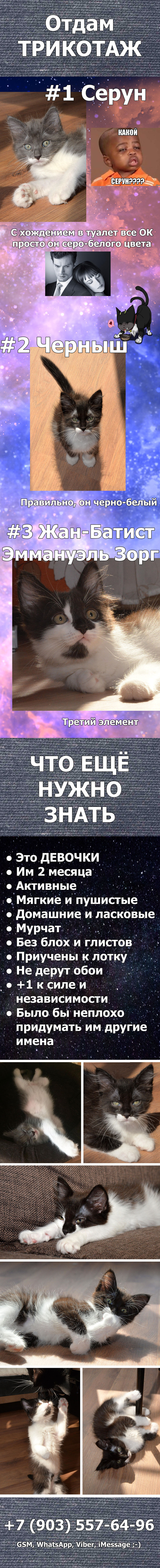 Трикотаж в хорошие руки в Москве