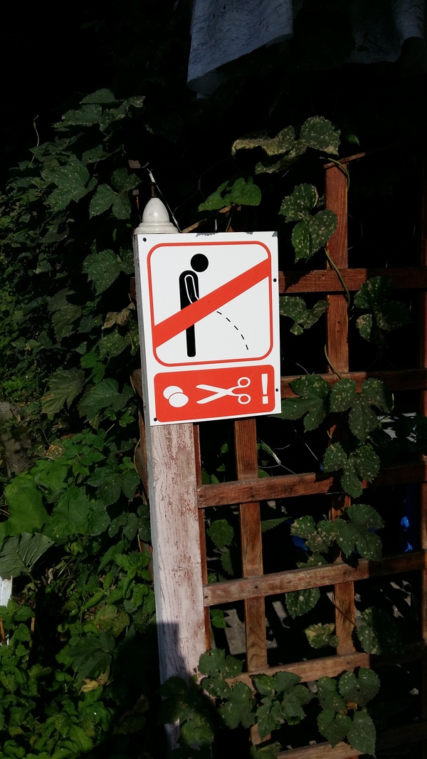 ��������� ���� �� ������ �����