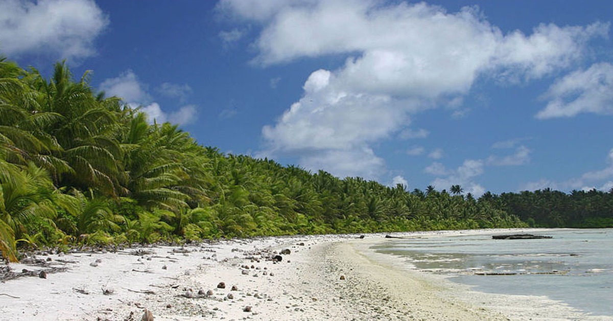 Desert island. Атолл Пальмира. Остров Пальмира тихий океан. Атолл Пальмира, Гавайи. Атолл Пальмира в тихом океане.