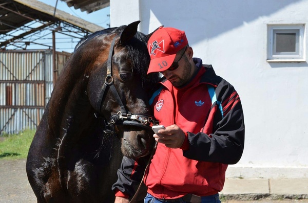 Кому пишешь?