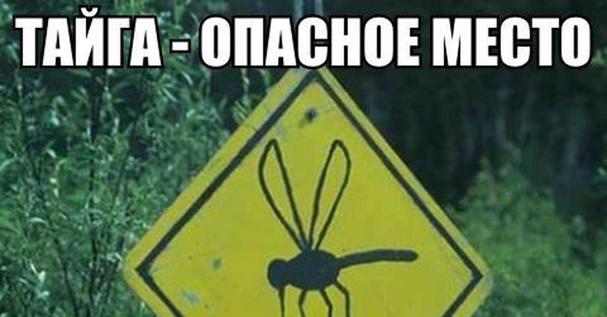 Очень опасное место | Пикабу