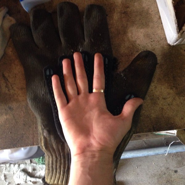 �� ���������� �������� �� ����