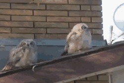 &quot;,  , ?!&quot;