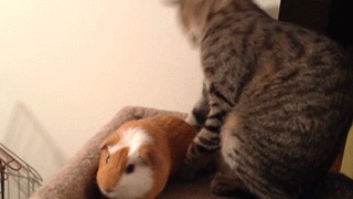   ?
