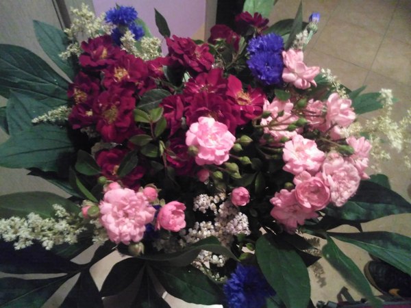 �������� �����