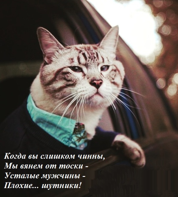 Как сделать чтобы не грустить Как сделать чтобы не грустить
