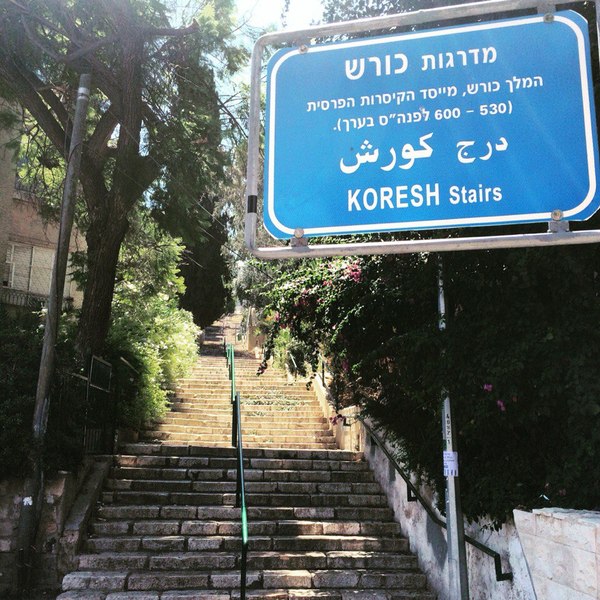 �������� ��� ������