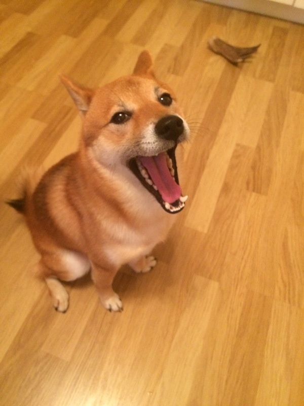 ������-�������