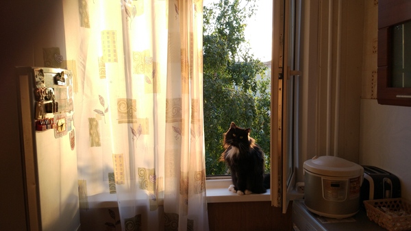 �������� ���