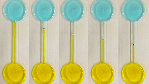 ������ ������� ����������� � ����� "������� �����������"