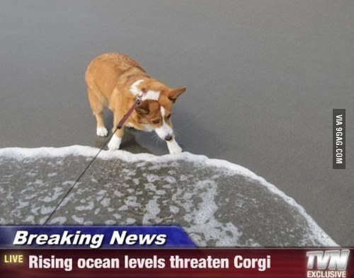 Горячие новости!