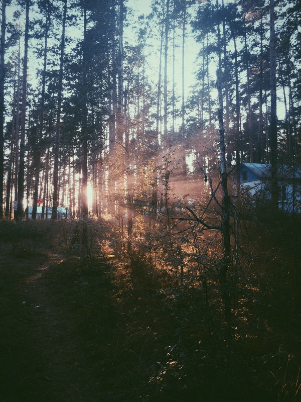 �������� �������� �������