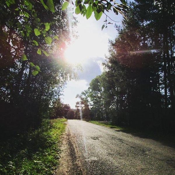 The world is beautiful - My, Nature, Forest, Road, The sun, Light, Summer, Inspiration, Leaves