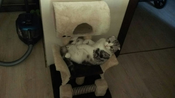 И где мой обещанный новый домик побольше?