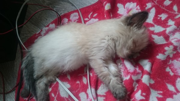 Случайные связи Встреча, Разлука, Длиннопост