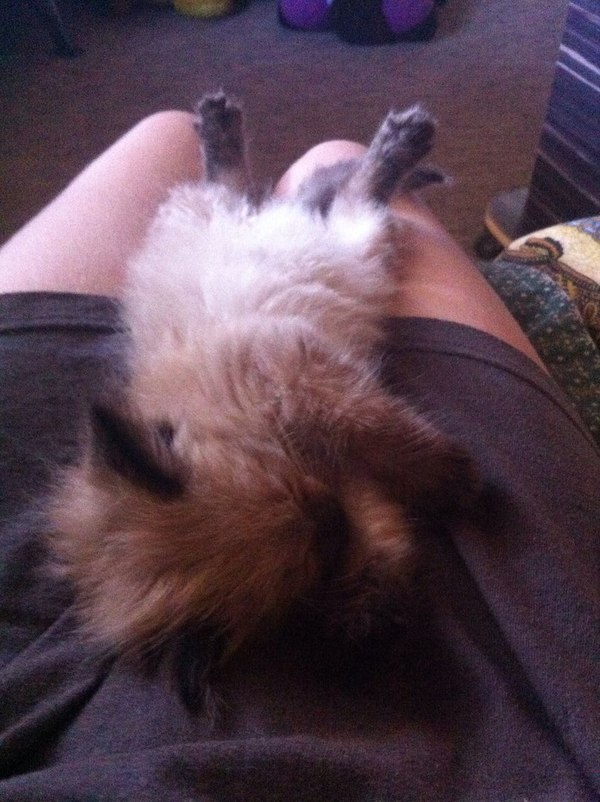 Случайные связи Встреча, Разлука, Длиннопост