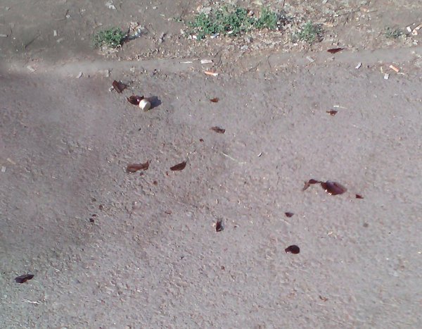 Кажется, тут произошла трагедия