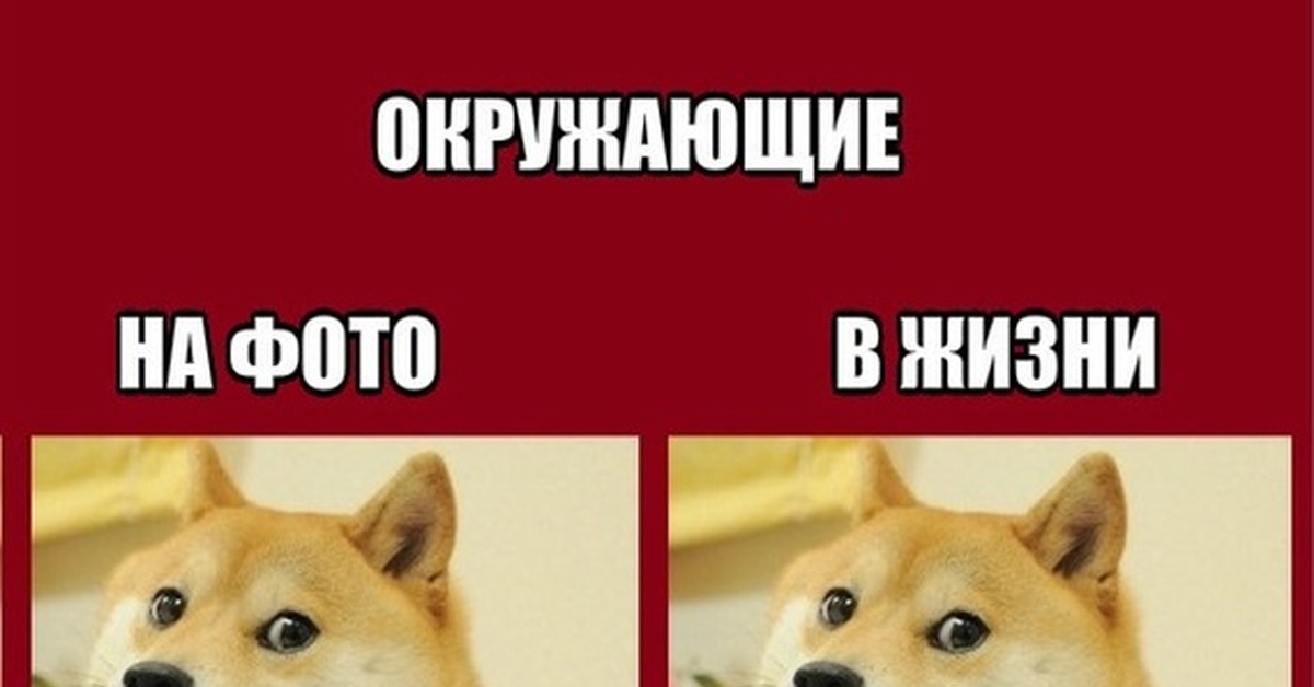 картинки со словом дратути онлайн