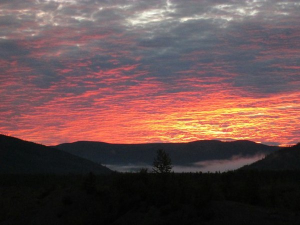 ������ �������