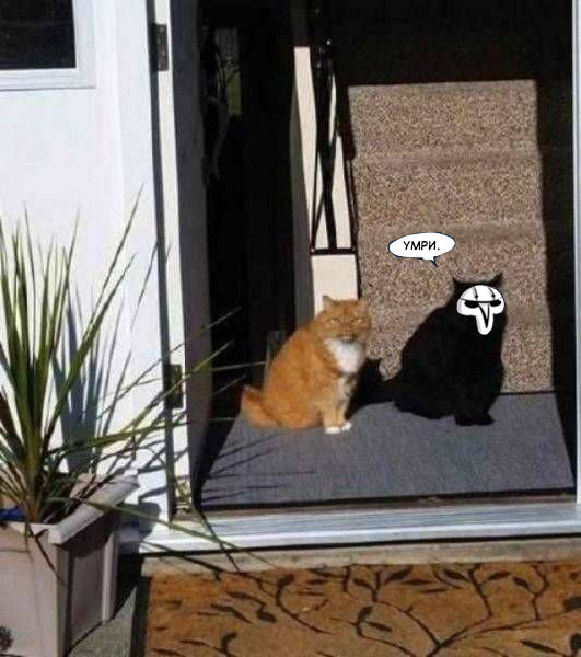 ��� � ��� ���� ����