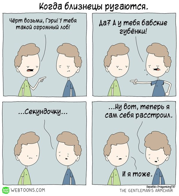 Когда близнецы ругаются